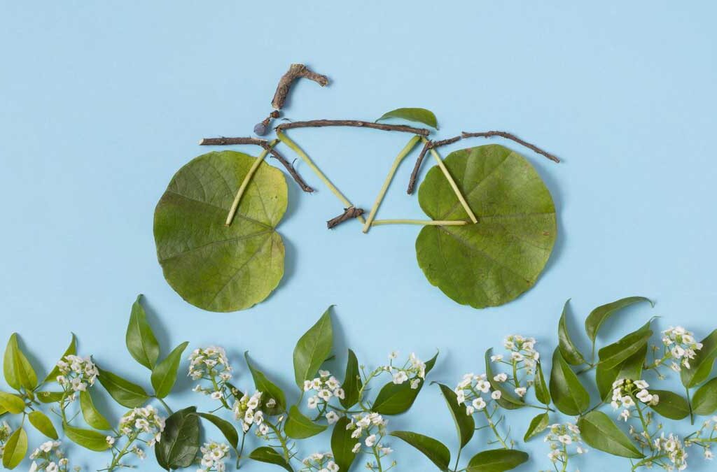 Nutrir, moverte y renovar: la tríada sencilla para una salud sostenible