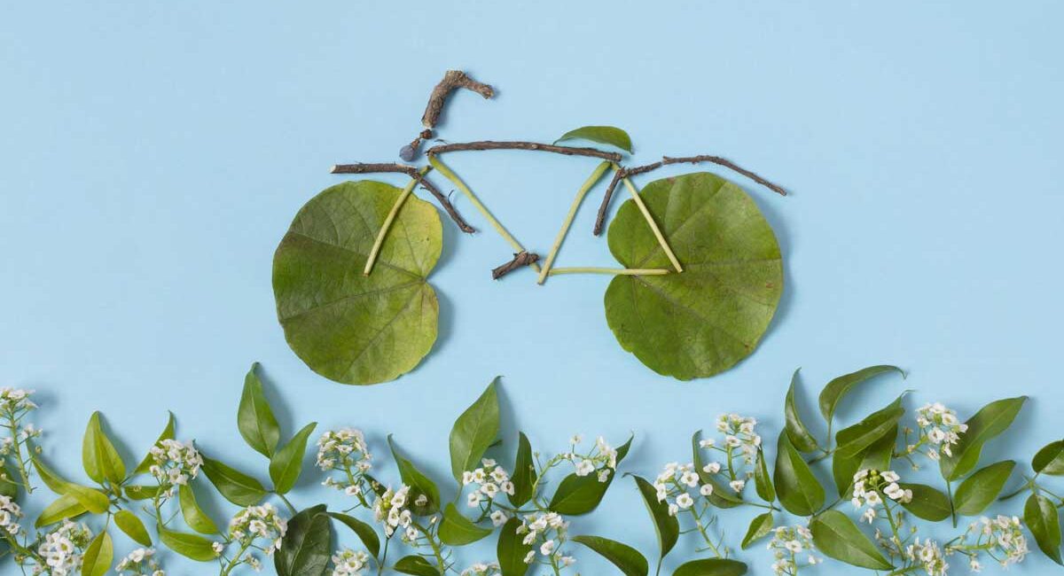 Nutrir, moverte y renovar: la tríada sencilla para una salud sostenible