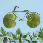 Nutrir, moverte y renovar: la tríada sencilla para una salud sostenible