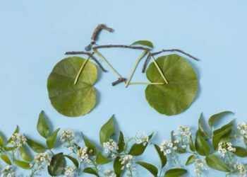 Nutrir, moverte y renovar: la tríada sencilla para una salud sostenible